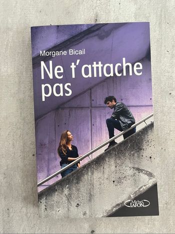 Ne t’attache pas de Morgane Bicail