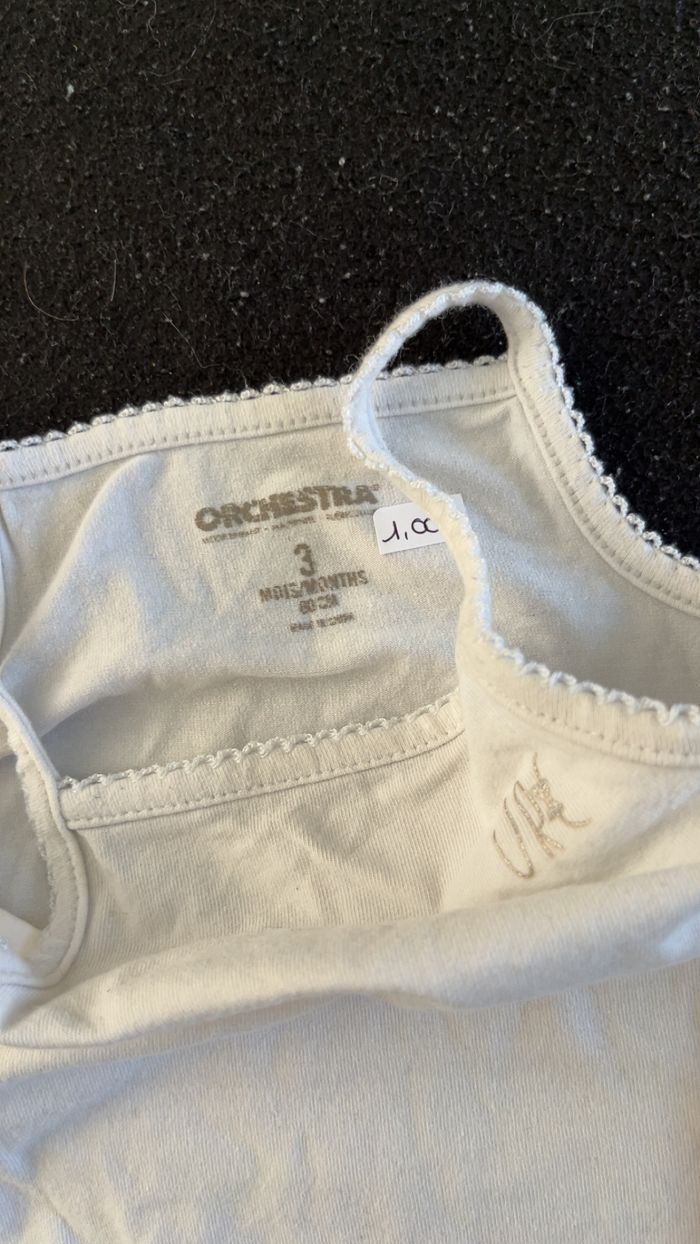 Bodie 3 mois - photo numéro 4