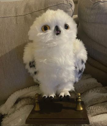 Chouette Edwige Harry Potter