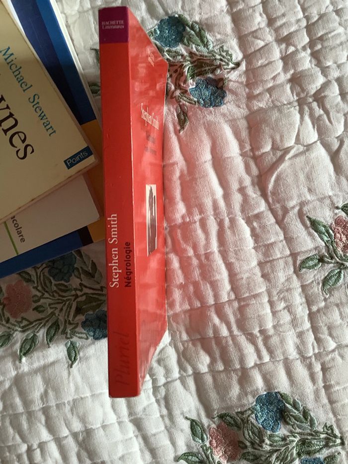 Négrologie, pourquoi l’Afrique meurt, par Stephen Smith - photo numéro 4