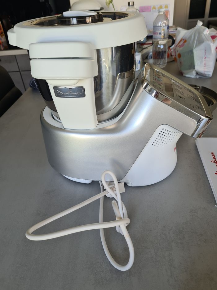 Compagnon XL - photo numéro 2