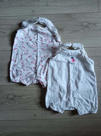 Combi short été  Orchestra 9 mois papillons