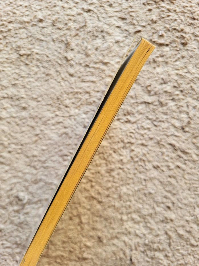 Roman jeunesse L'été où Ben remua le ciel et la terre de Christine Arbogast - photo numéro 3