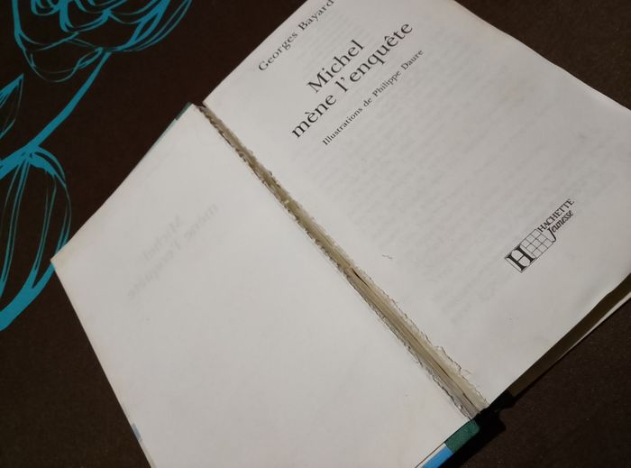 Michel - photo numéro 4