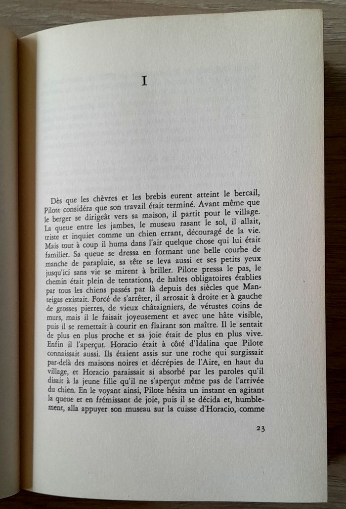 les brebis du seigneur - roman de Ferreira de castro - photo numéro 9