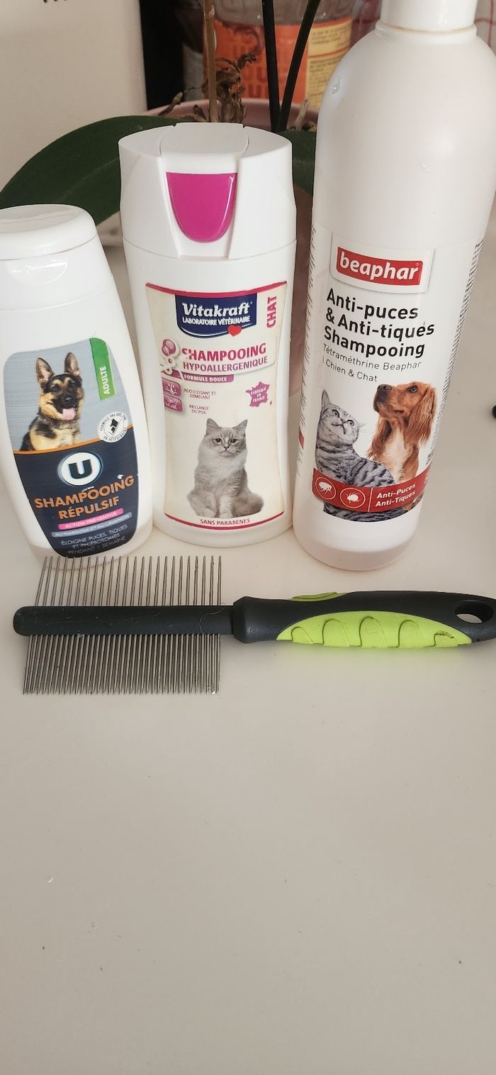 Lot toilettage chien/chat