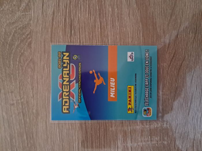 Carte de foot panini Fulgini - Angers - 2022 - photo numéro 4