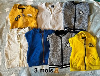 Vestes 