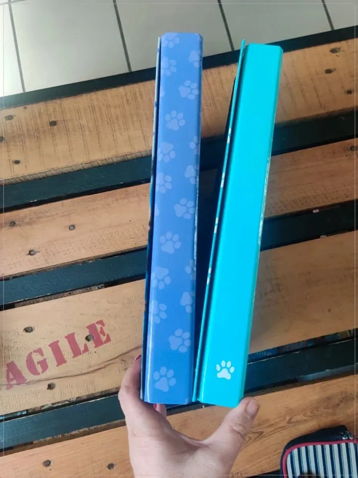 Lot de 2 chemises de classement chat et chien - photo numéro 7
