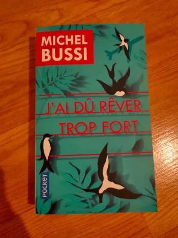 J'ai dû rêver trop fort