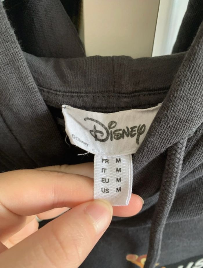 Sweat à capuche - photo numéro 2