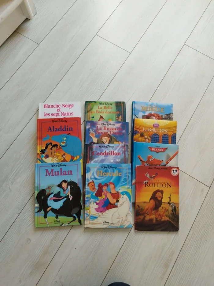 Livre Disney