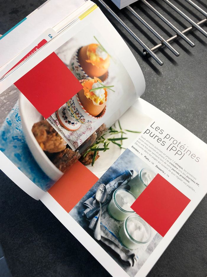 Lot livres DUKAN : L’intégral des recettes + Je ne sais pas maigrir - photo numéro 3