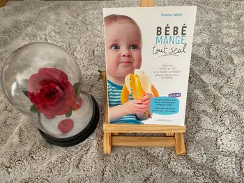 Livre bébé mange tout seul