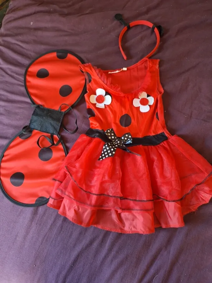 Robe Déguisement coccinelle - photo numéro 2