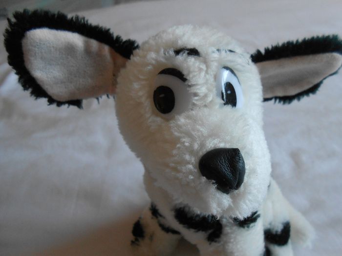 Chien Dalmatien en peluche - photo numéro 3