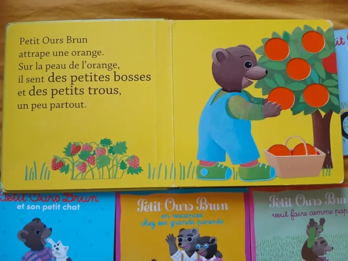 Lot de 12 livres de Petit Ours Brun 📚🐻 - photo numéro 3