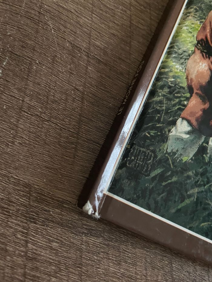 BD le moine fou - photo numéro 2