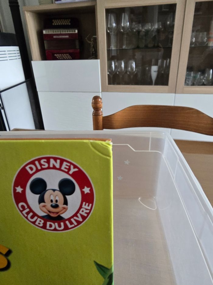 1001 pattes Disney Version courte - photo numéro 2