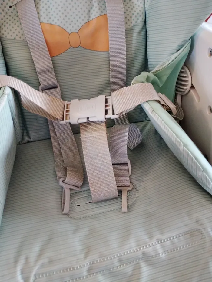 Trona rana - photo numéro 2