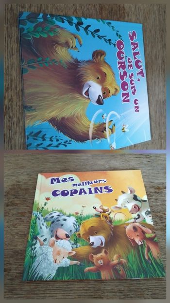 Lot 2 livres 