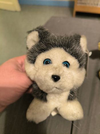 Plusieurs petites peluche