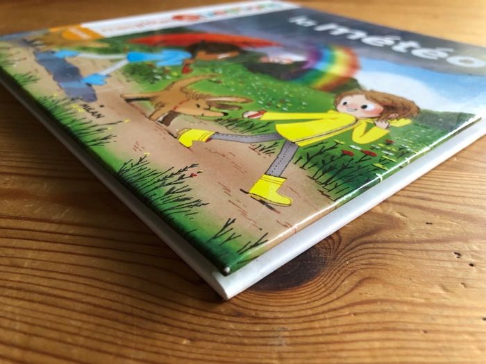 Livre La météo - photo numéro 6