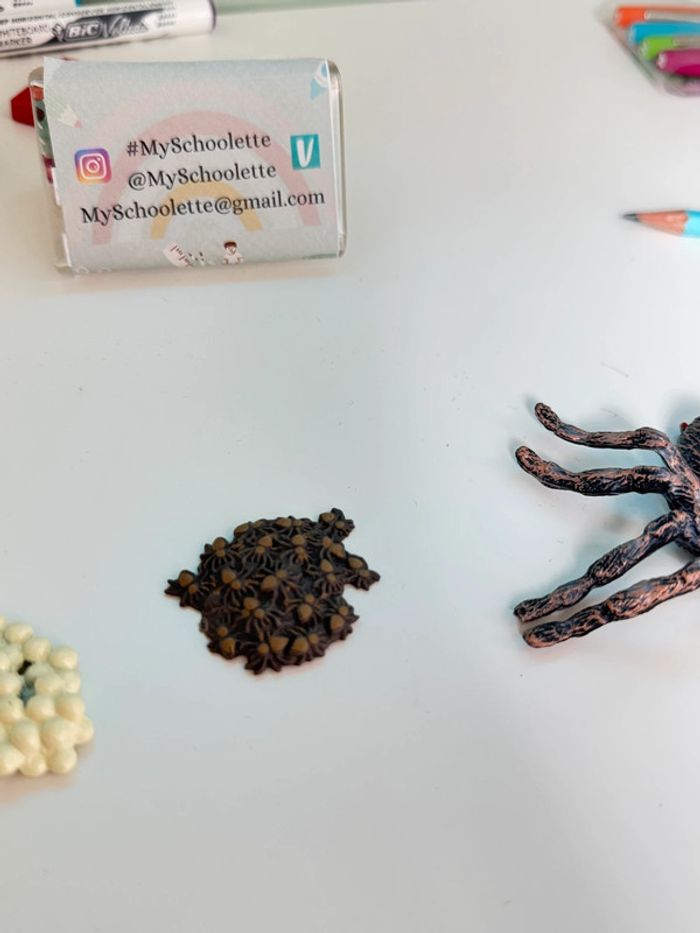 Cycle de vie: L'araignée - Lot de 4 figurines - photo numéro 7