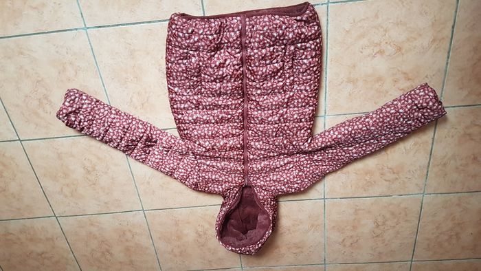 Blouson hiver à capuche femme 36-38 bordeau Zeeman