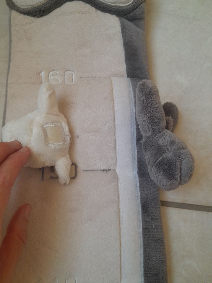 Toise murale - photo numéro 4