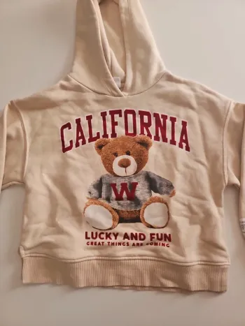 Sweat à capuche Zara