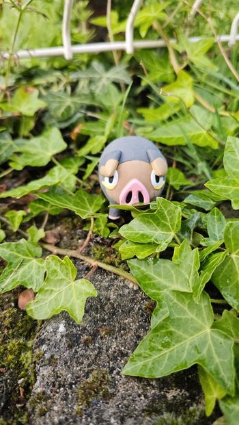 Super figurine Pokemon Nintendo gourmelet effet gomme