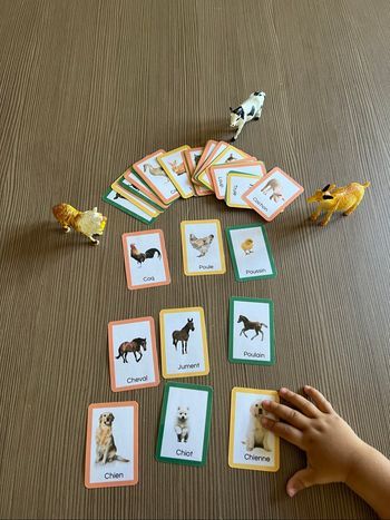 Cartes animaux et leurs bébés