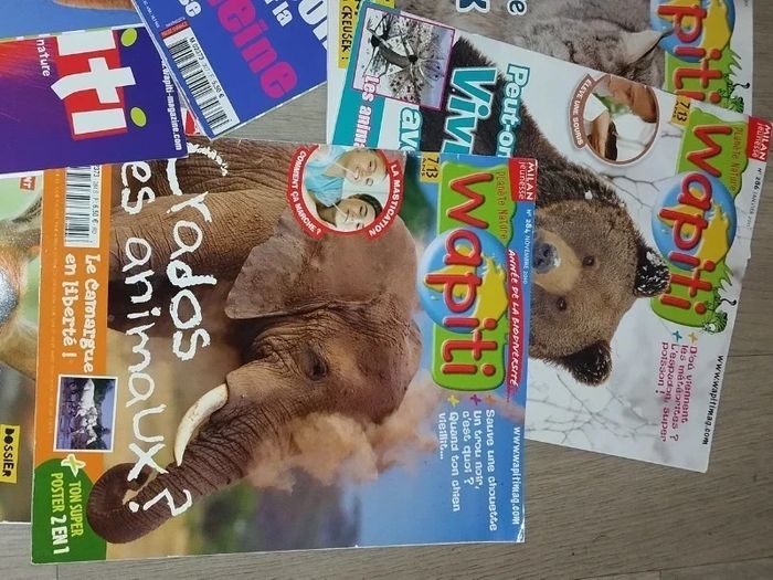 Lot de 7 magazines Wapiti année 2010-11-12-13 L028  7586988326 - photo numéro 6