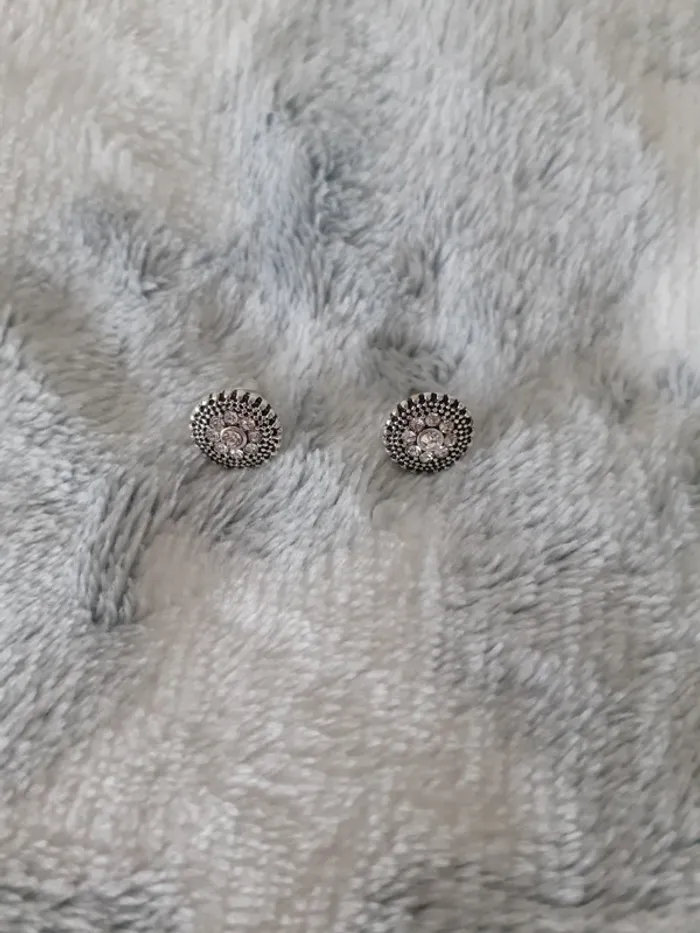 Boucles d'oreilles argentées