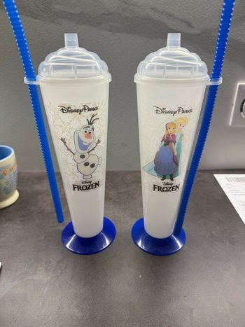 2 gourdes Disneyland Paris