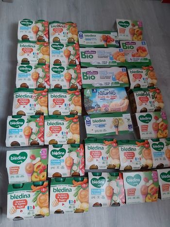 Petit pots Bledina 8/12 mois