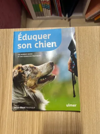 Éduquer son chien