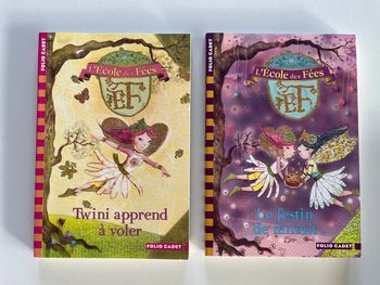 Lot 2 livres - L’école des Fées