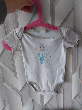 body blanc et gris petit lapin