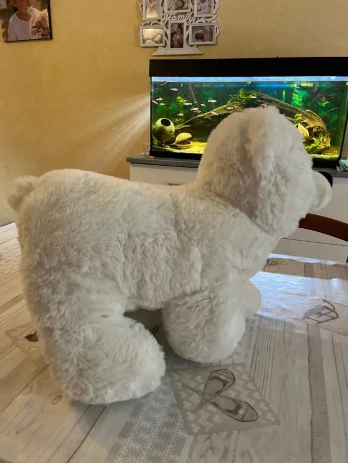 Peluche - photo numéro 5