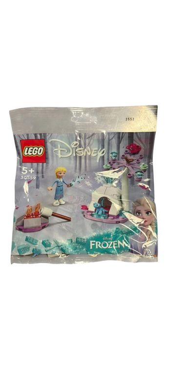 Lego Disney Frozen 30559 la reine des neiges Elsa et Bruni camp dans la forêt neuf