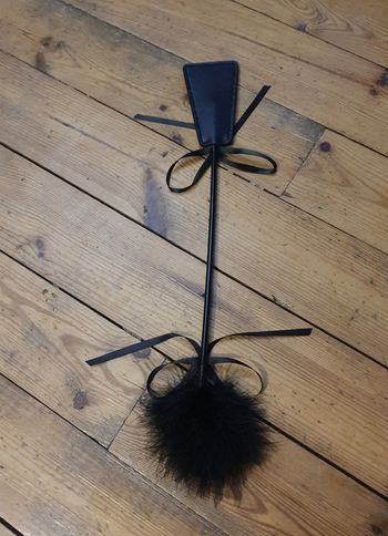 Cravache noire plumes neuve