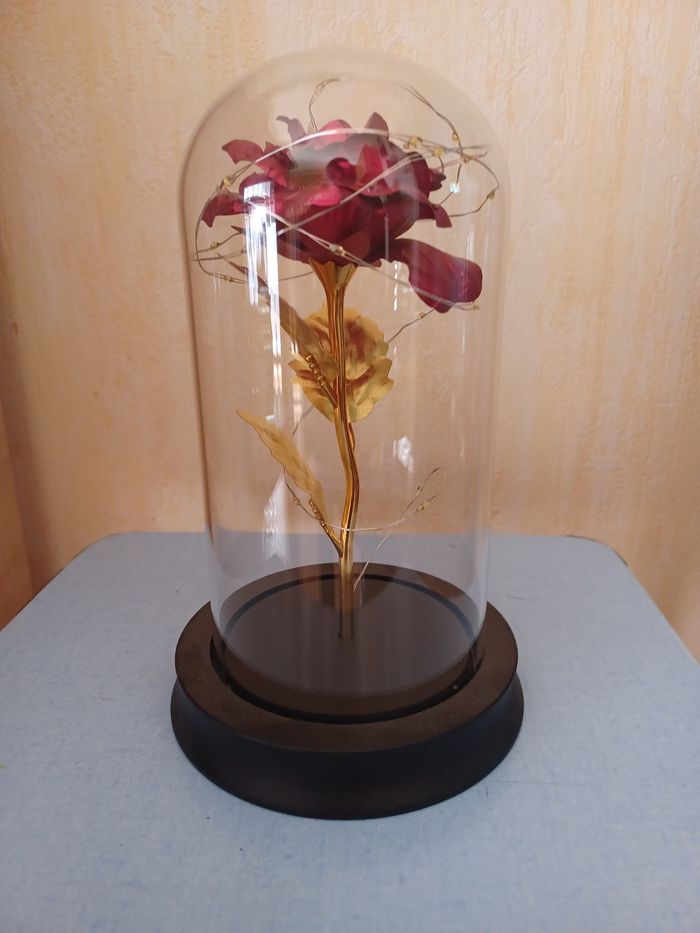 Rose sous cloche Gifi