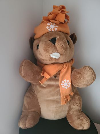 peluche Marmotte castor  siffleuse  50 cm