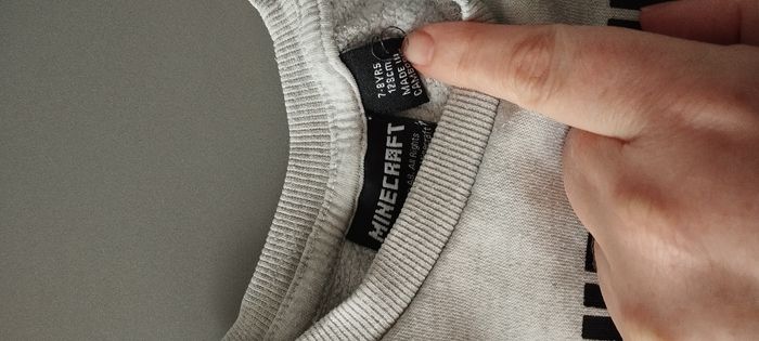 Pull Minecraft - photo numéro 2