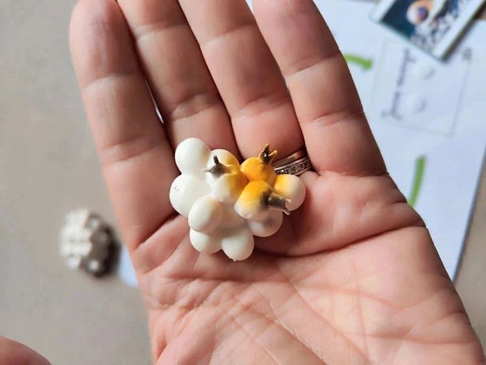 Kit cycle de vie d'un escargot Montessori - photo numéro 7