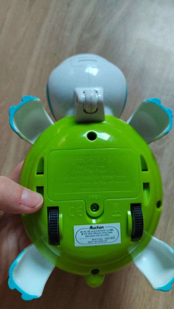 Tortue - photo numéro 3