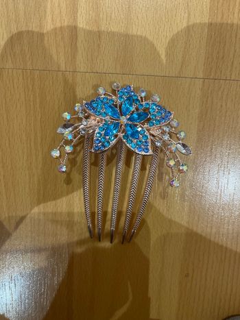 Barrette, chignon