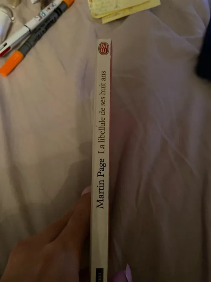La libellule de ses huit ans - photo numéro 3